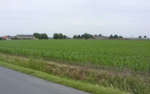 The field outside Poelcapelle in 2013